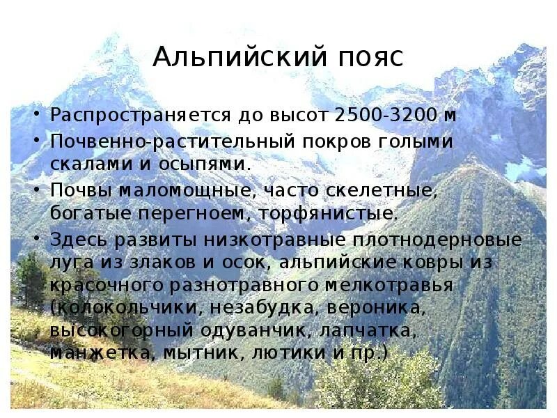 Альпийский пояс Кавказа. География 8 класс субтропики Высотная поясность в горах. Высокогорный пояс. Высотная поясность в горах Сибири 7. На какой высоте расположен субальпийский пояс кавказ