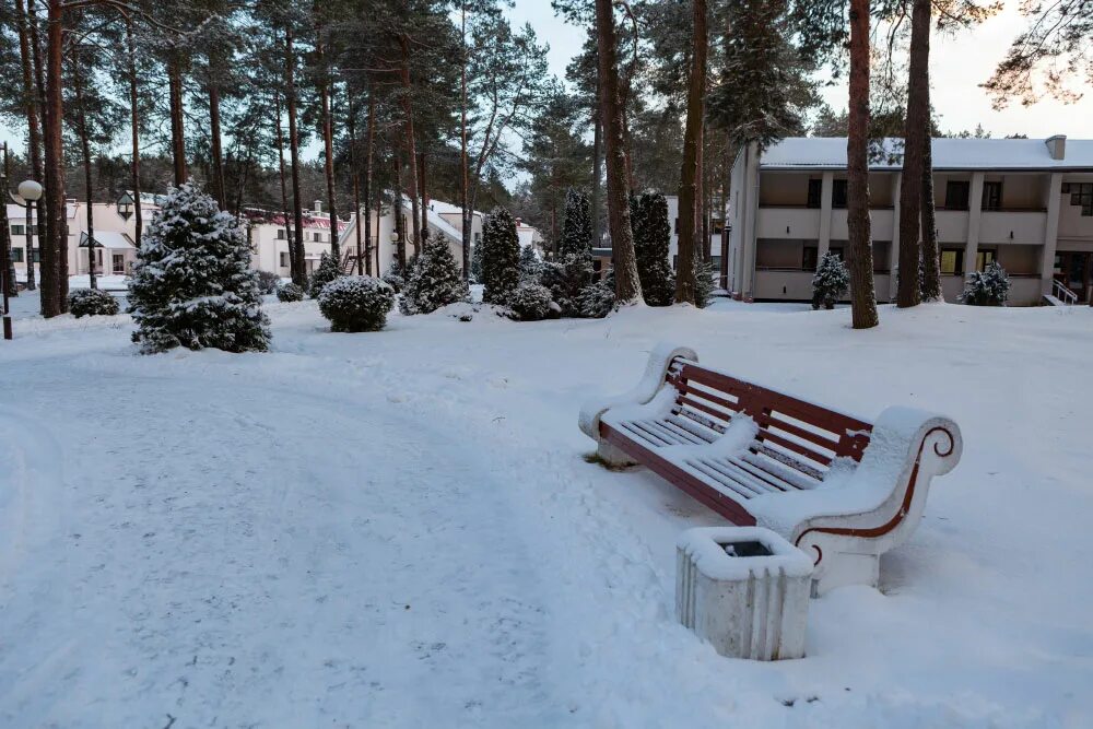 город жуковка саноторийжуковский. жуковский санаторий брянск. санаторий жуковский в жуковке. санаторий жуковка брянская область. жуковский санаторий набережная 5.