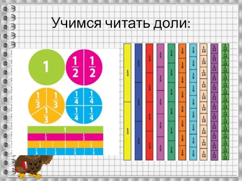 Образование долей. Что такое доля в математике. Доли и дроби наглядный материал. Доли 3 класс наглядный материал. Доли наглядное пособие.