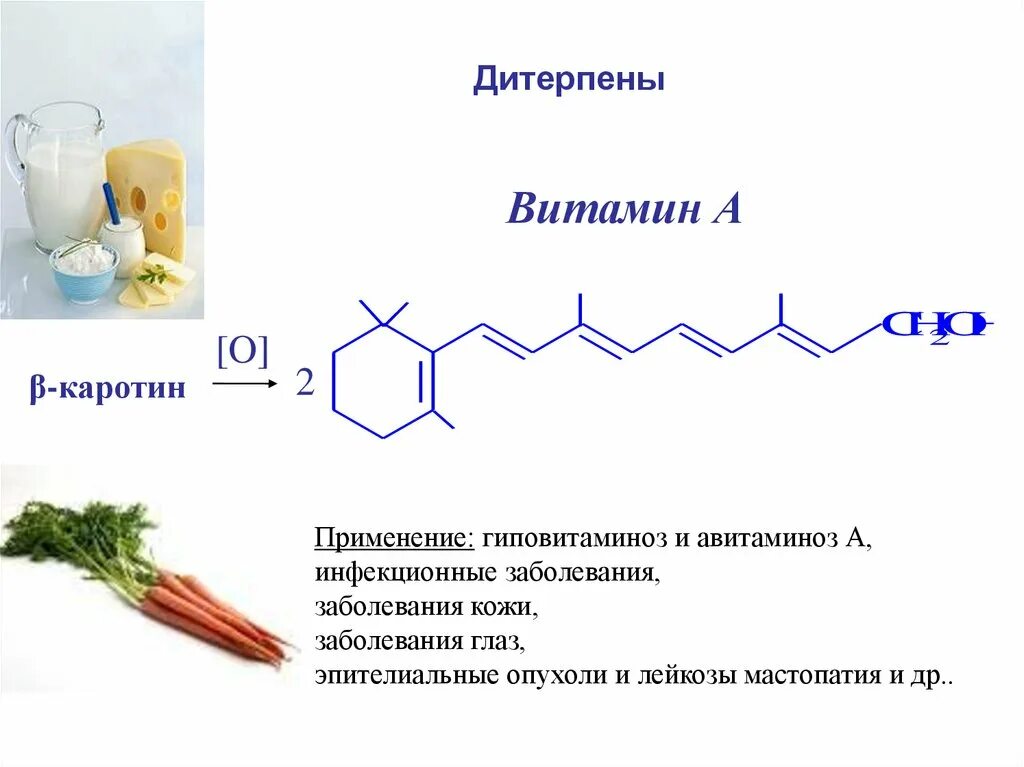 Из каротина образуется витамин