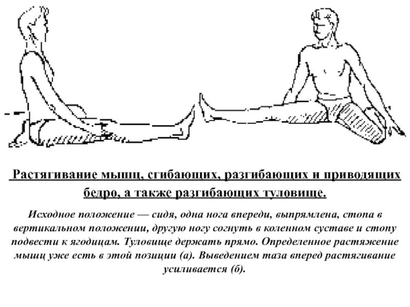 Растяжка приводящих мышц. Растяжка приводящих мышц бедра. растяжка мышц сгибателей бедра. растягивание прямой мышцы бедра. растянуть приводящие мышцы бедра.