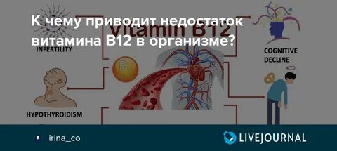 В12 в организме
