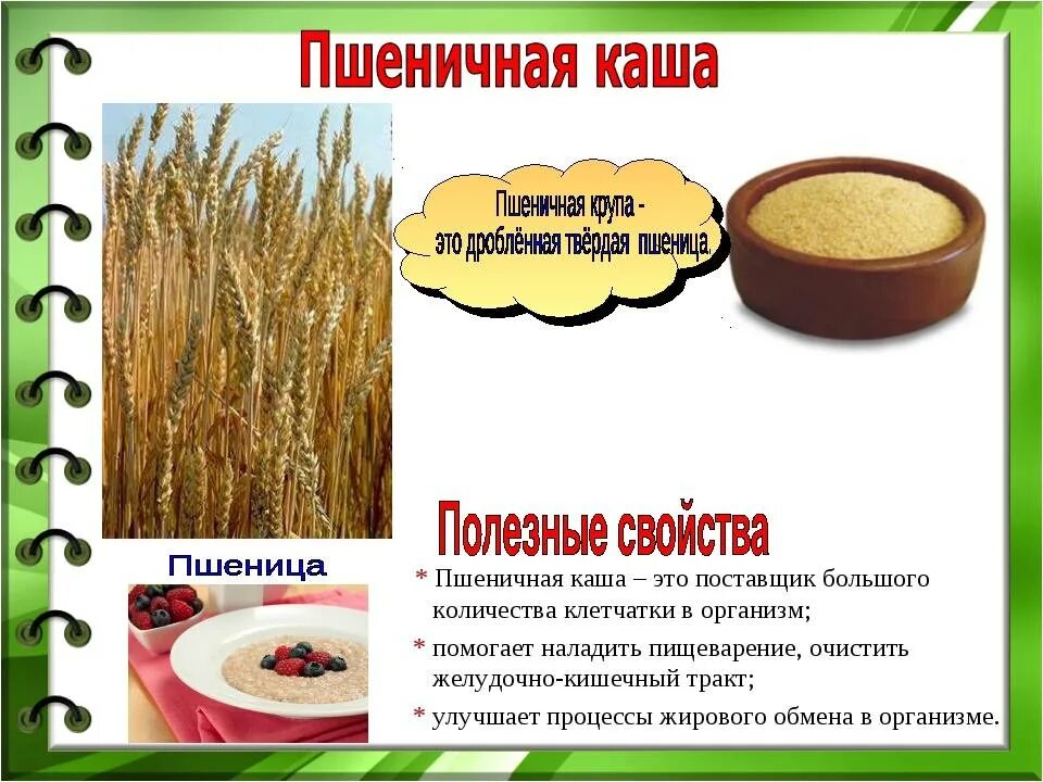 Пшеничная из чего делают. Полезные свойства пшеничной крупы для организма человека. Полезная пшеничная каша. Пшеничная каша польза. Чем полезна пшеничная крупа.