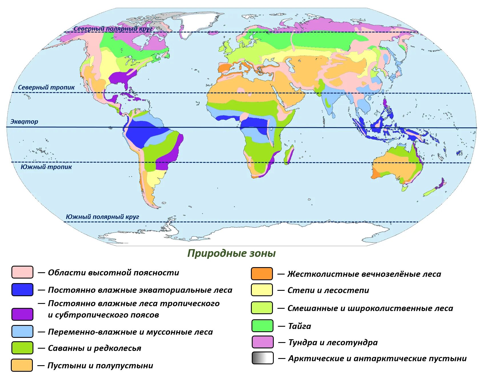 Природные зоны земли карта. Растительность природных зон земли биология