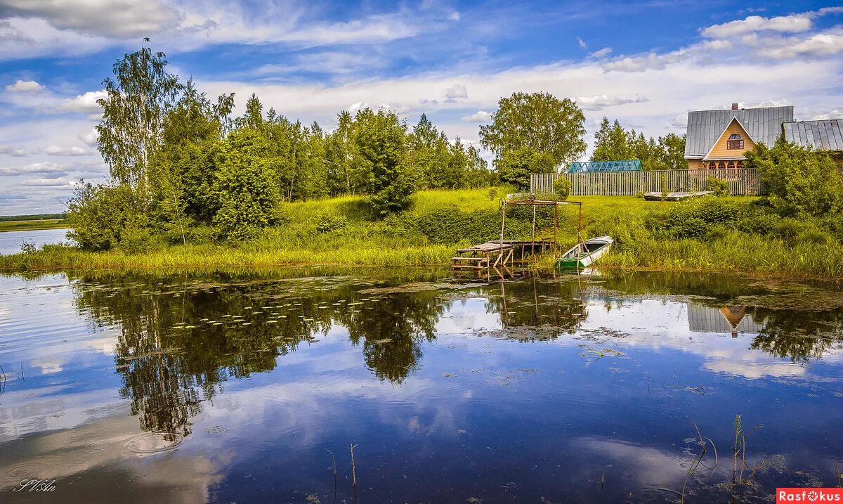 Речка покша. Река Покша Кострома. Река Покша Костромская область. Река Покша. Река малая Покша (Костромская область).