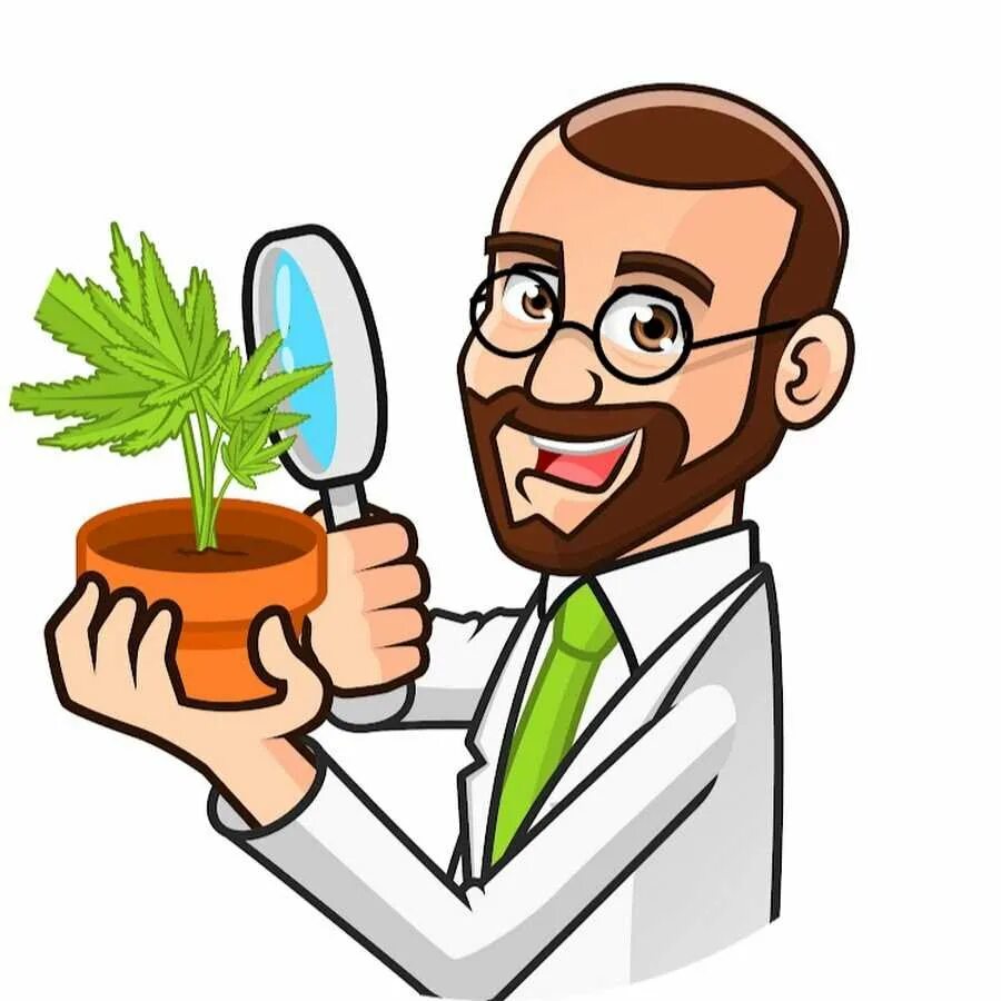 ученые экологи. ботаник мультяшный. человек с книжкой мультяшные. студент ботаник в очках. мальчик ботаник.