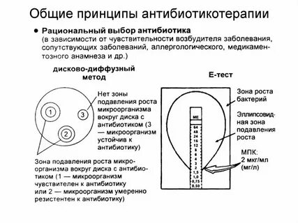 Зона антибиотик