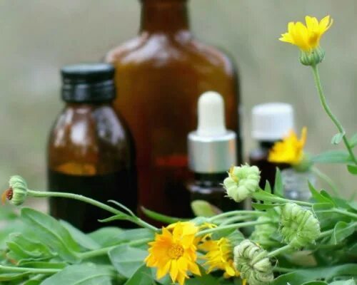 Невралгия мазь для лечения. Homeopatie. настой ромашки при межреберной невралгии. межреберная невралгия лечение травами. невралгии лечение травами внутрь.