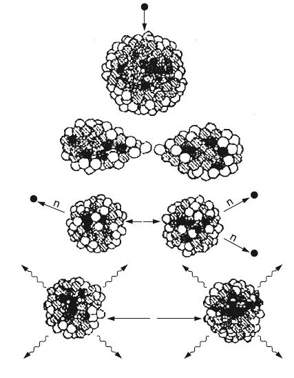 Механизм деления урана. Схема деления ядер урана. Деление ядер урана механизм деления. Деление атома урана. Механизм деления ядра урана.