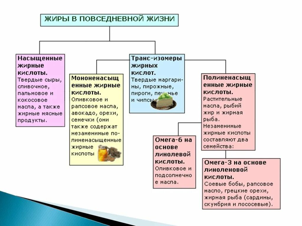 Жиры функции в организме