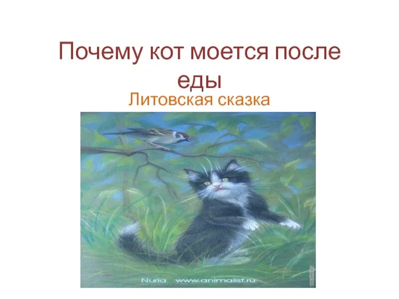 Почему льет