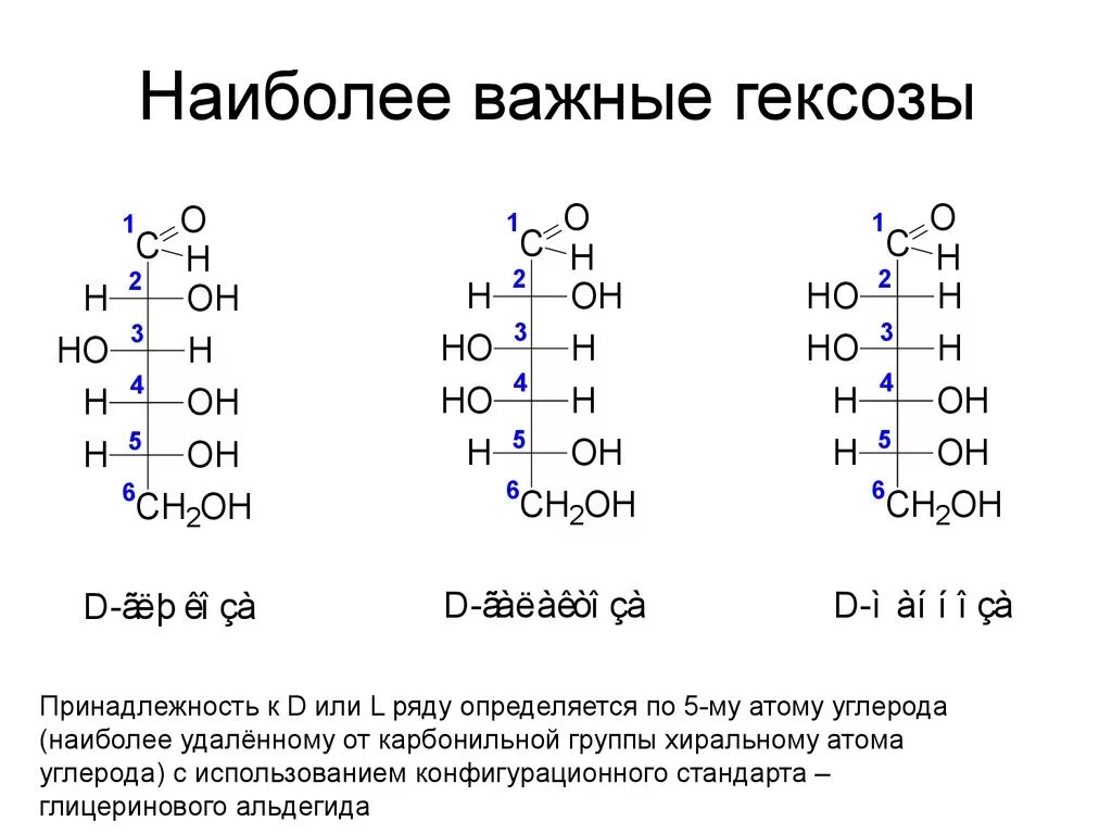 Наиболее распространенный моносахарид. Гексозы с общей формулой. Наиболее важные гексозы. Гексозы с общей формулой представители. Эпимеры моносахаридов.