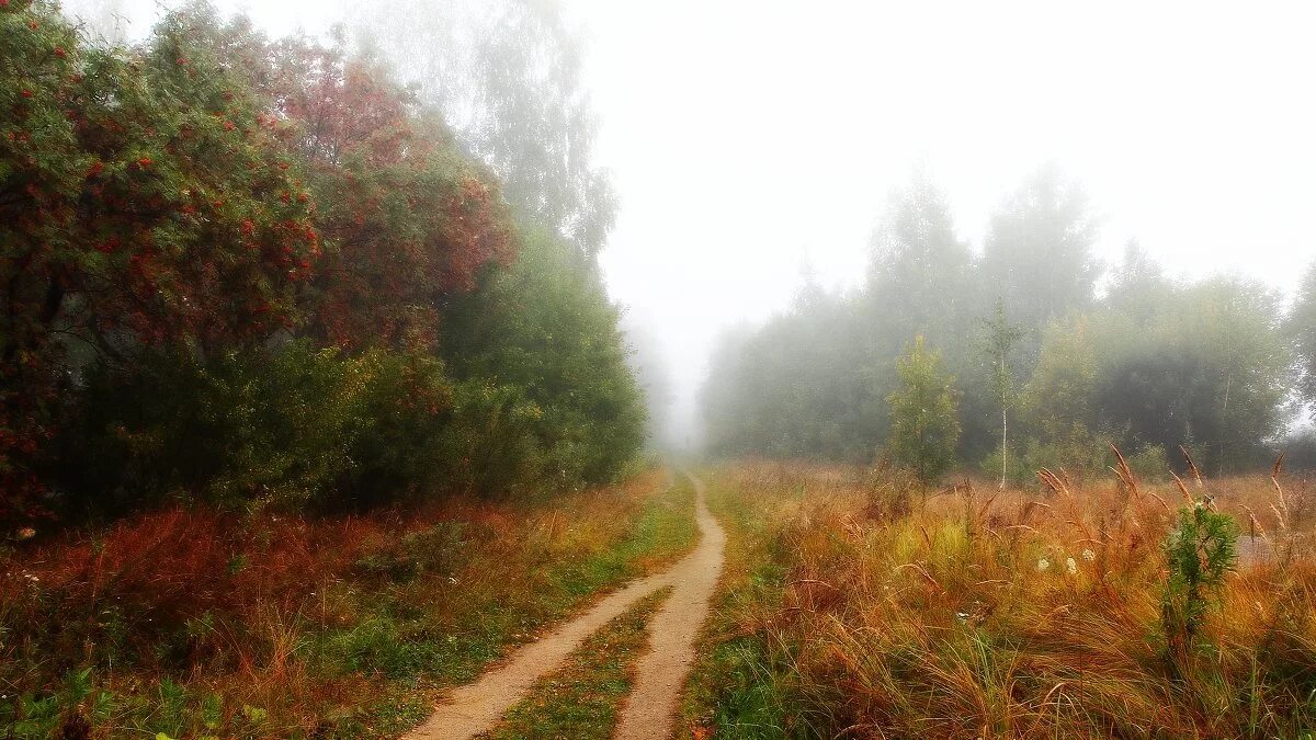 стих афанасия афанасьевича фета осень. фет стихи про осень.