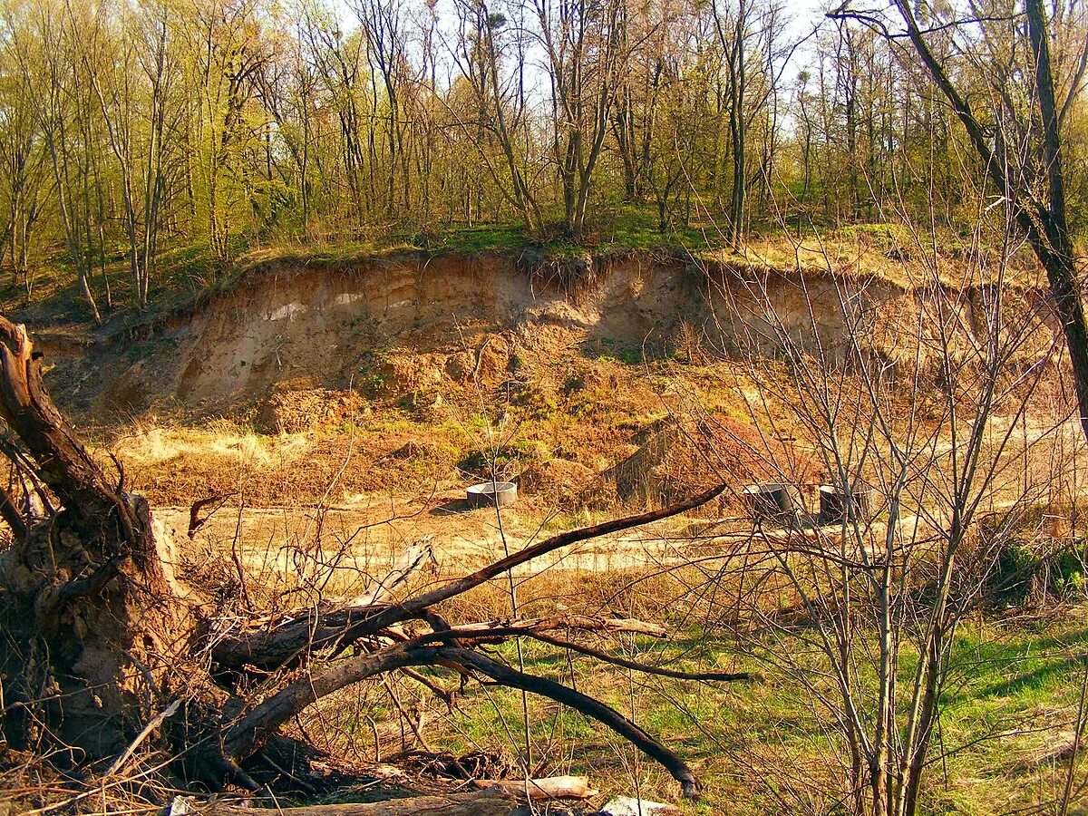 Овраг б. Чертов овраг псковская область. овраг. склон оврага. пески овраги.