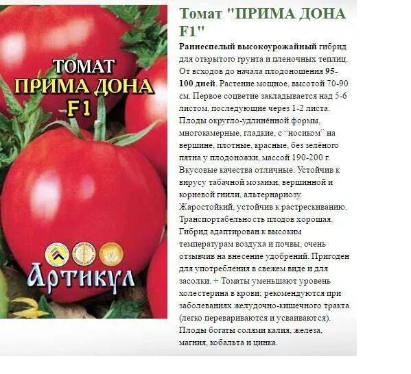 Томат зимние характеристика и описание сорта. Томат кибо f1: характеристика. томат идальго сахарный f1. помидоры сорт чиполлино. томат розализа f1 10шт.