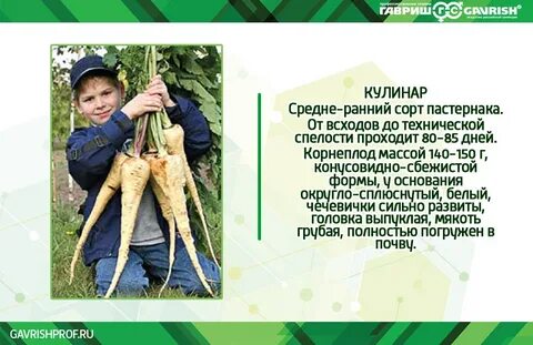 Вред посевам