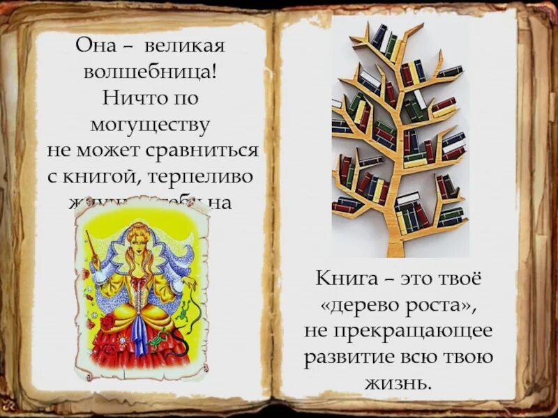 Книга биография Великой волшебницы. Как зовут твое дерево книга. Терпеливая книга