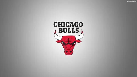 Bull's