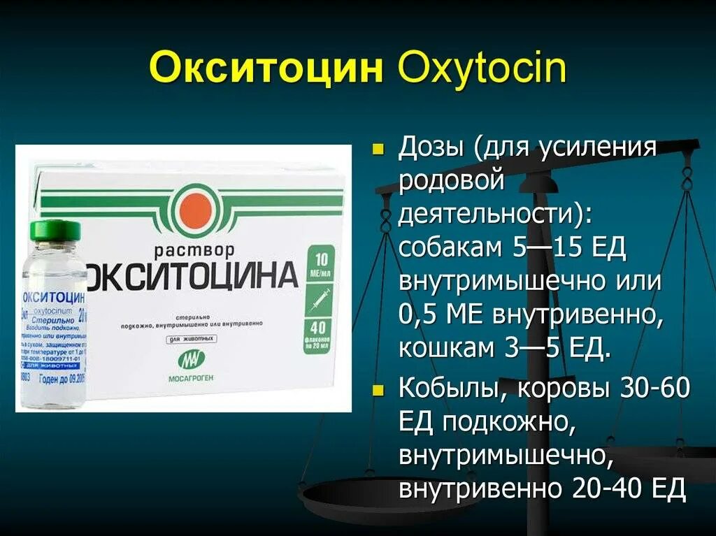 Как колоть окситоцин. Окситоцин. Окситоцин дозировка. Окситоцин собаке дозировка.