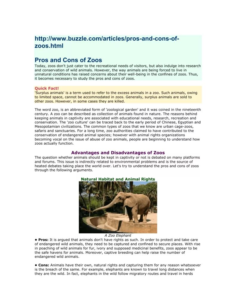 Wild animals essay