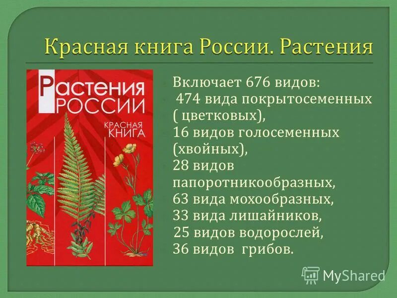 Красная книга сценарий