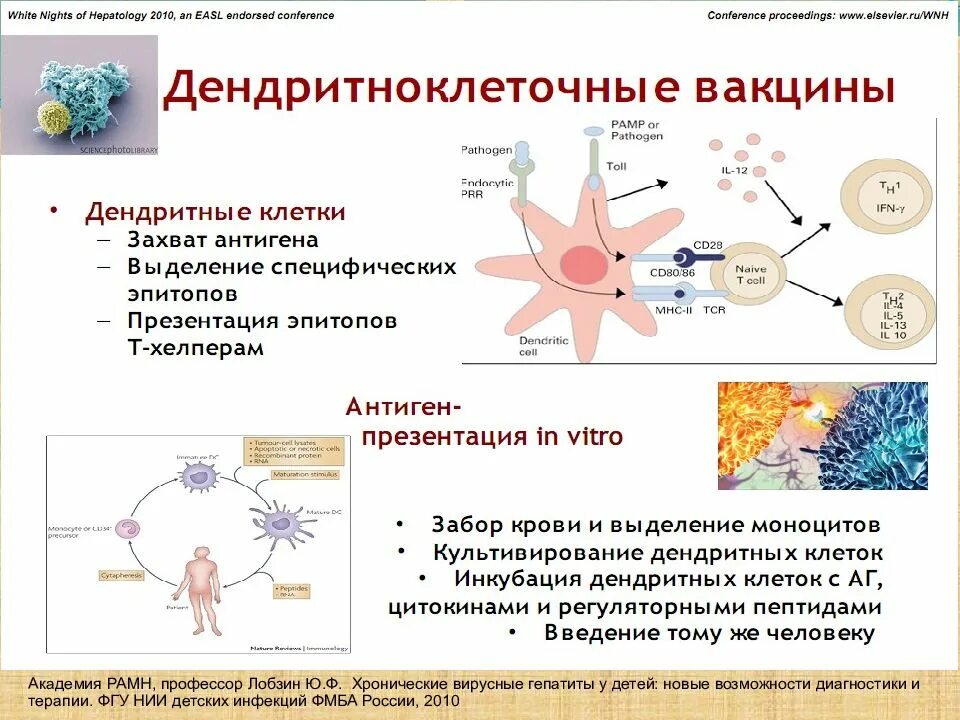 Вакцина дендритными клетками. Противоопухолевые вакцины на основе дендритных клеток. Вирусные гепатиты у детей презентация. Дендритные клетки иммунология. Хронический гепатит у детей.