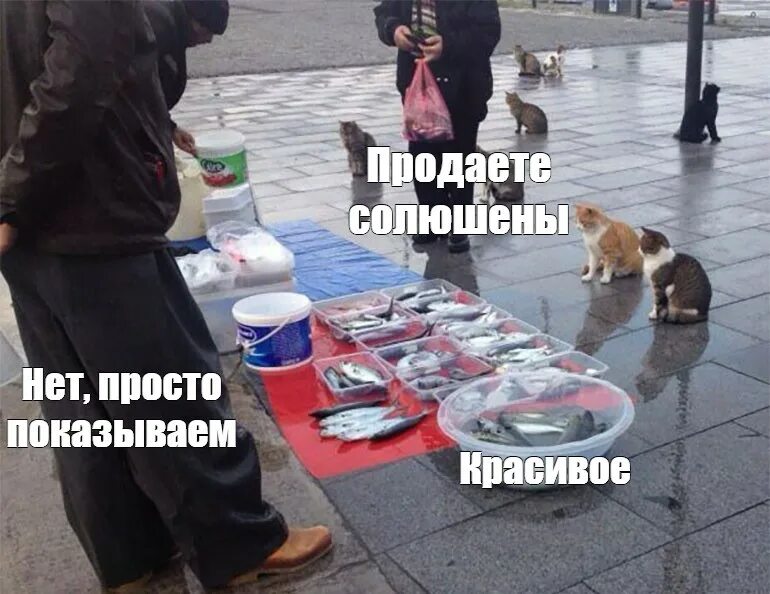 Рыбу продаете нет показываю красивое. Мем кошки продаете. мемы для детей про кошек. красивое прикол мем. маркетинг на базаре мемы.