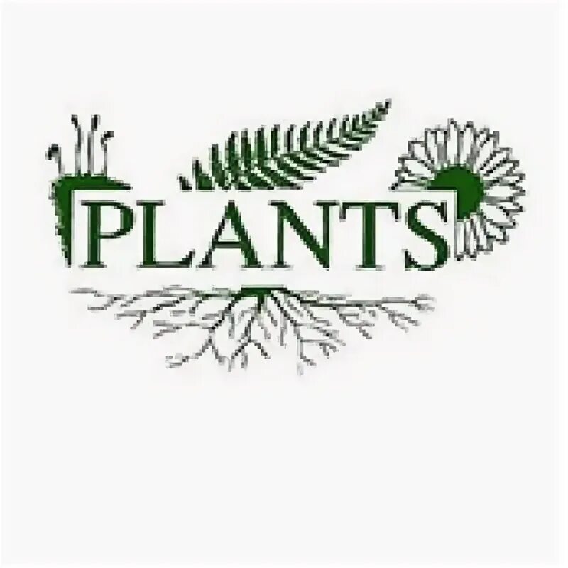 Plant company