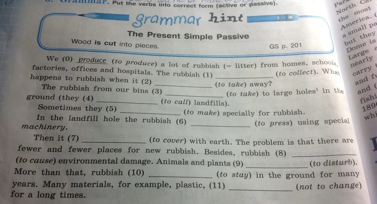 Put the verb into correct passive form. Put the verb into correct form. Choose Active or Passive. Test put the verbs into Passive 2) a Lit of Dogs.