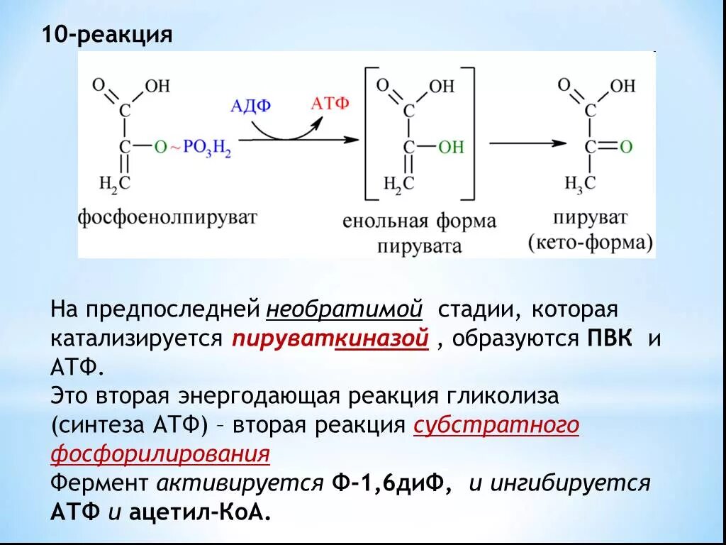 Фосфоенолпируват Синтез АТФ. Енольная форма пировиноградной кислоты. Енольная форма ПВК. Фосфорилирование пептидов реакция. Реакция синтеза атф происходит