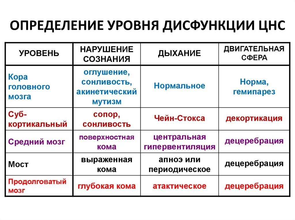 Дисфункция цнс. Определение уровня дисфункции ЦНС. Уровни нарушений функций нервной системы. Симптомы декортикации головного мозга. Функциональные нарушения работы нервной системы.