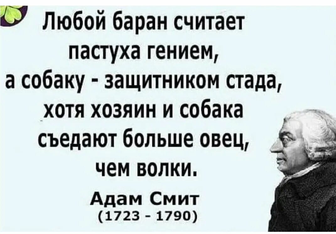 Всю жизнь овца волков. Любой баран считает пастуха. Любой баран считает пастуха гением собаку защитником стада. Пастух съедает больше овец чем волки. Всю жизнь овца Волков боялась а съел.