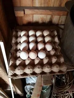 Колосовка доска объявлений продам яйцо