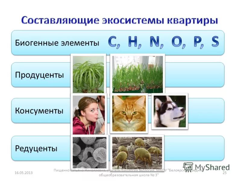 Биотические факторы факторы среды. Экосистема луг. Что идёт после консументов. Пищевая цепь консументы редуценты. Пшеничное поле продуценты консументы редуценты.