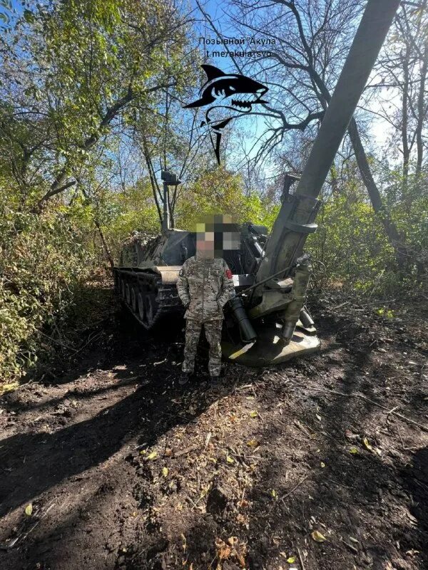 позывной акула