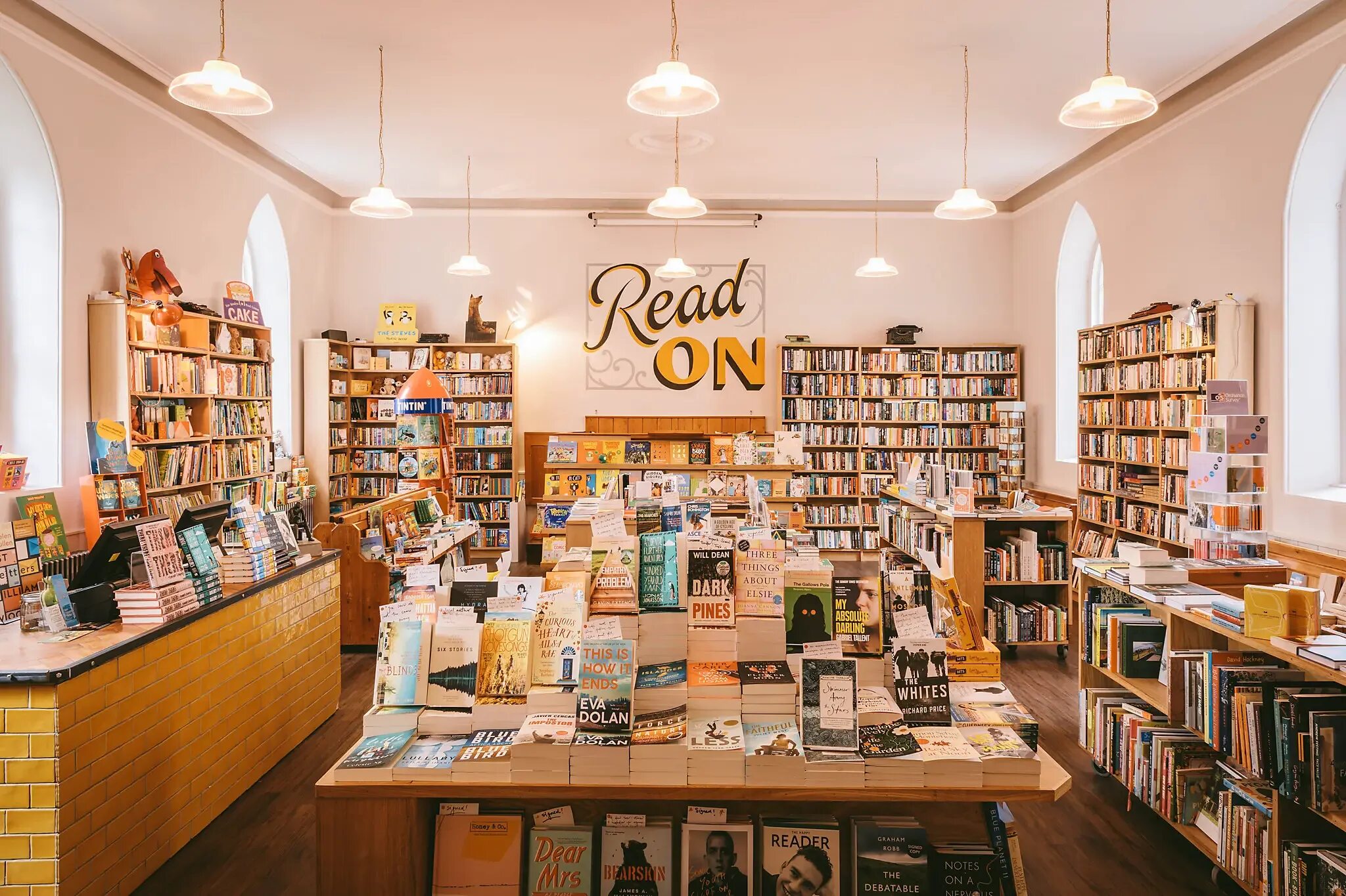 Книги. Декор для библиотеки. Bookshop. Bookshop картинка. The books in this shop are