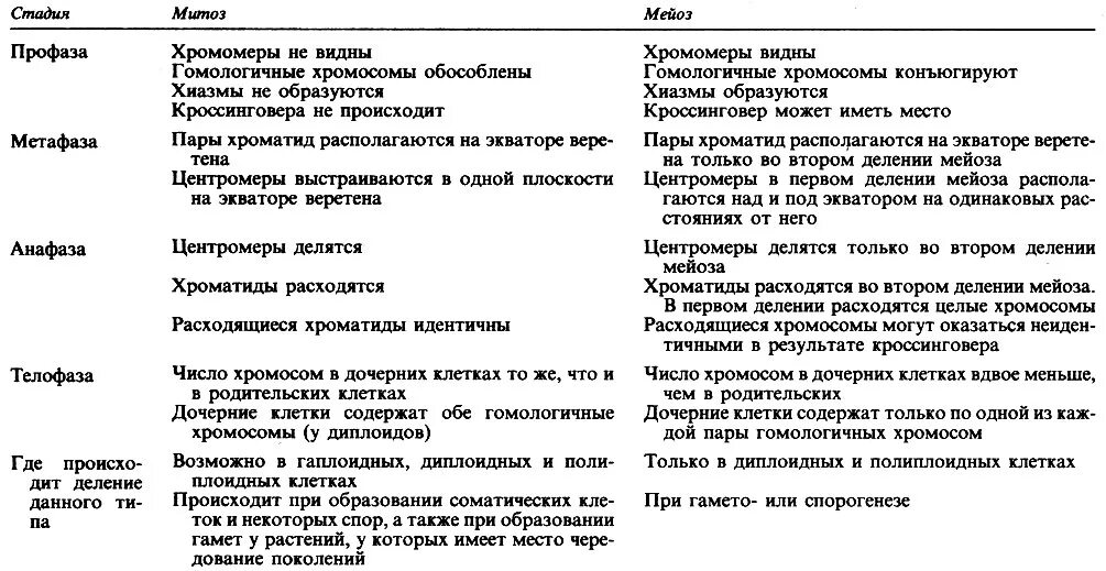 Отличия митоза от мейоза 9 класс. Фазы деления клетки таблица. Сравнительная характеристика фаз митоза и мейоза таблица. Сравнение митоза и мейоза таблица по фазам. Сравнить фазы митоза и мейоза.