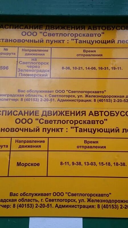 587 балтийск. Расписание автобусов Светлогорск Янтарный. Автобус Светлогорск Янтарный 587. Автобус Светлогорск Балтийск. Автобус с янтарного до Светлогорска.