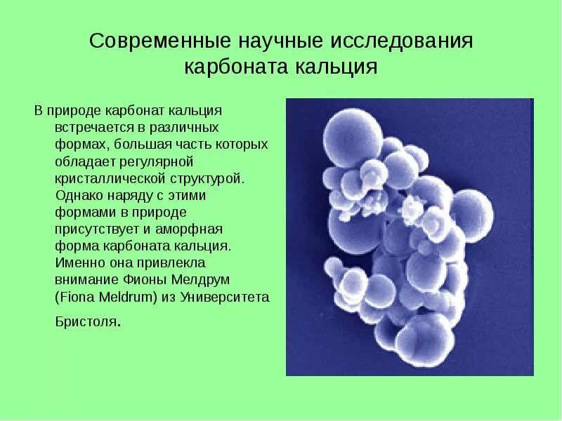 Многоликий карбонат кальция. Карбонат кальция в природе. Кальций в природе. Карбонат кальция структура. Карбонат кальция в воде практически нерастворим однако