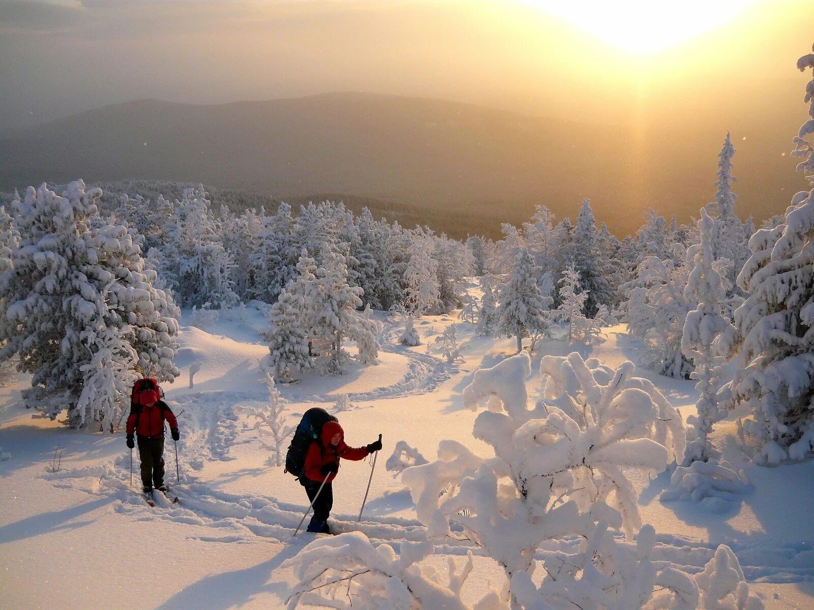 зимние каникулы. спорт зимой. катание на лыжах дети. зимние виды отдыха. зимнее путешествие занятие.