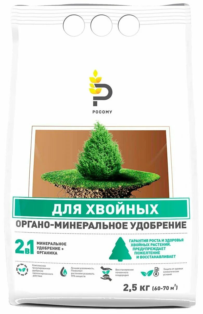 Хвойные растения с людьми. Экстракт сосны. Сосна сибирская хвоинки. Польза сосны. Пуршат.