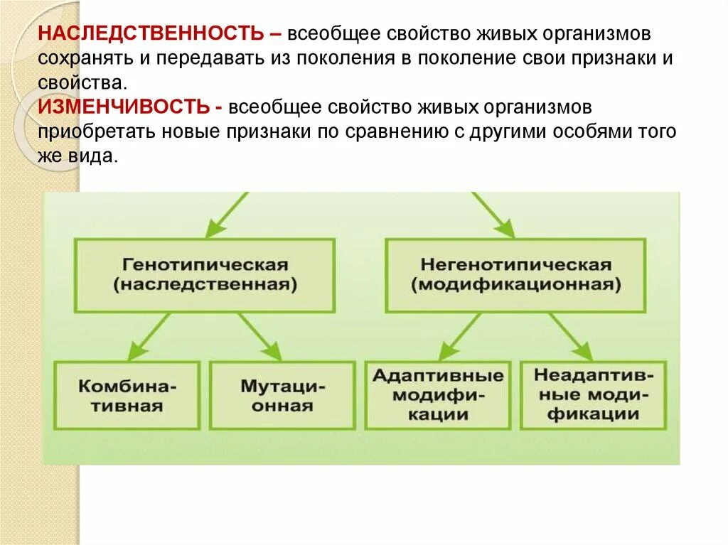 Способность организмов передавать свои признаки поколениям. Свойства организма передавать признаки из поколения в поколение. Наследственность свойство живых организмов. Передавать с поколения в поколения. Передача из поколения в поколение.