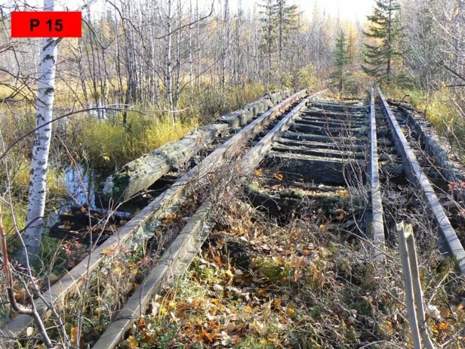 Железная дорога чум — Салехард — Игарка. Мёртвая дорога Салехард Игарка. Магистраль Салехард Игарка. Салехард-Игарка железная дорога.