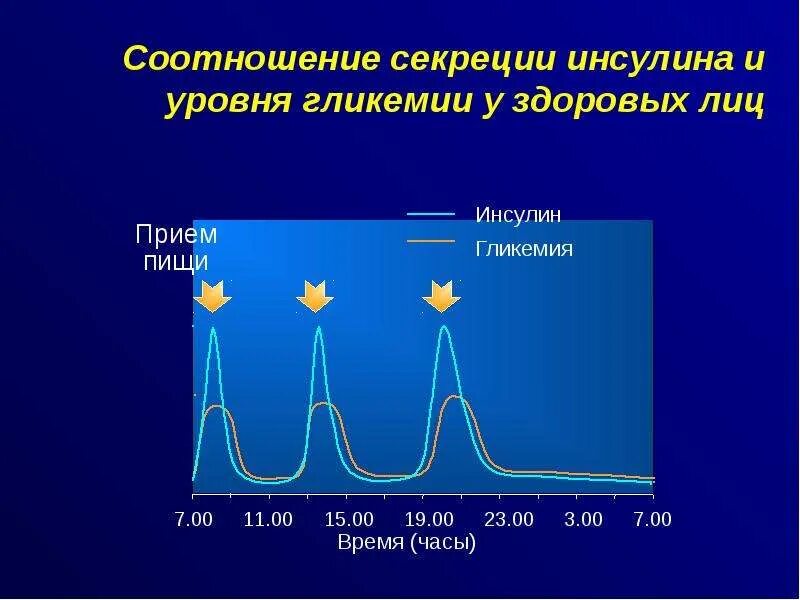 Уровня выработки инсулина. Фазы секреции инсулина. Динамика секреции инсулина. Физиологическая секреция инсулина. Секреторная фаза инсулина.