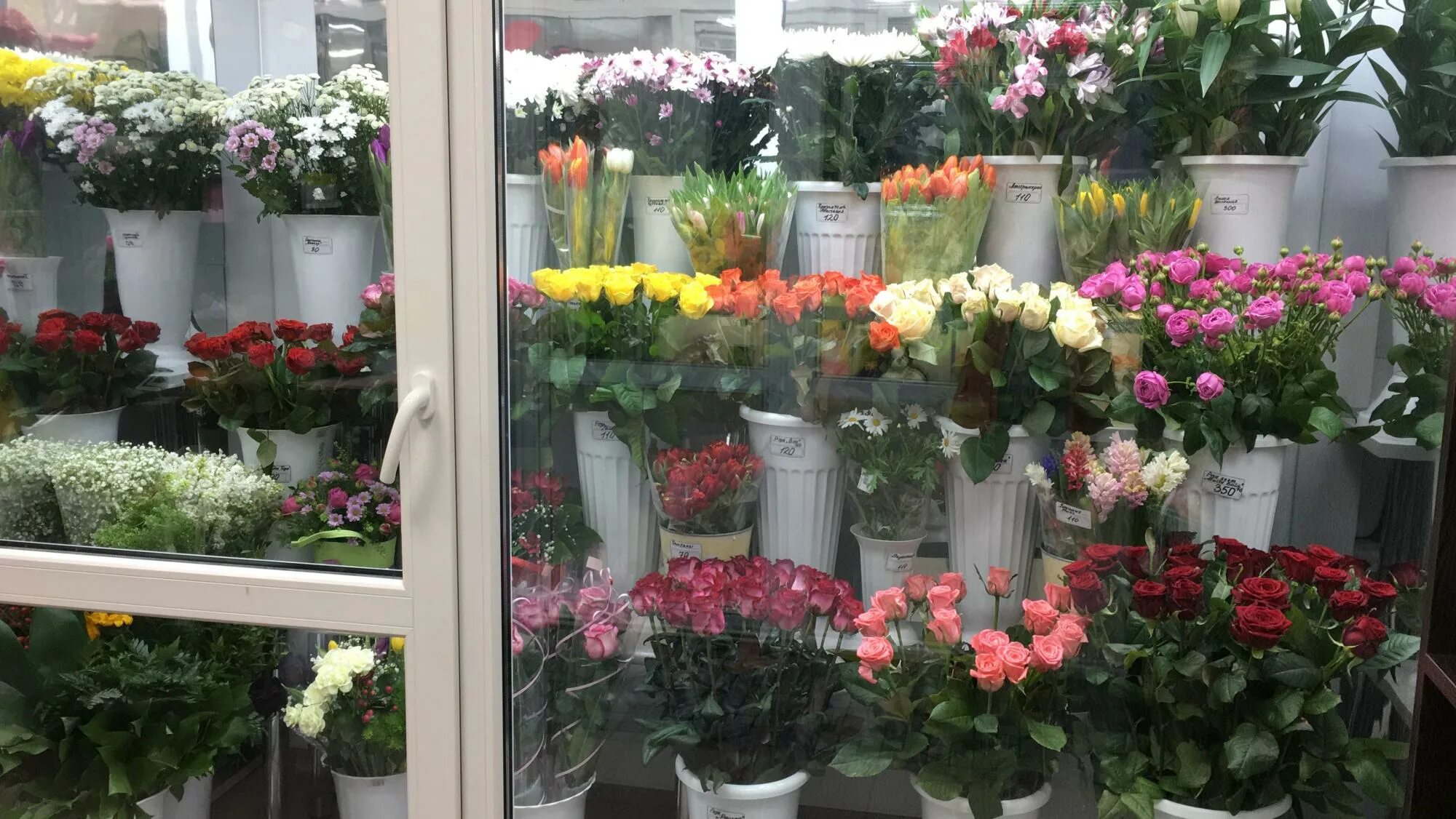 цветы лобня