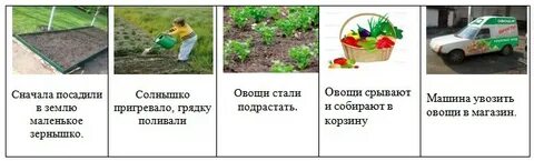 Овощи которые срывают руками