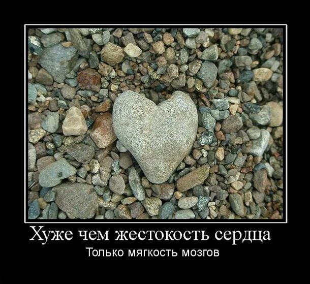 Хочу стать камнем. Каменное сердце цитаты. Волосатый камень. Бросить камень в огород. Хочу быть камнем.