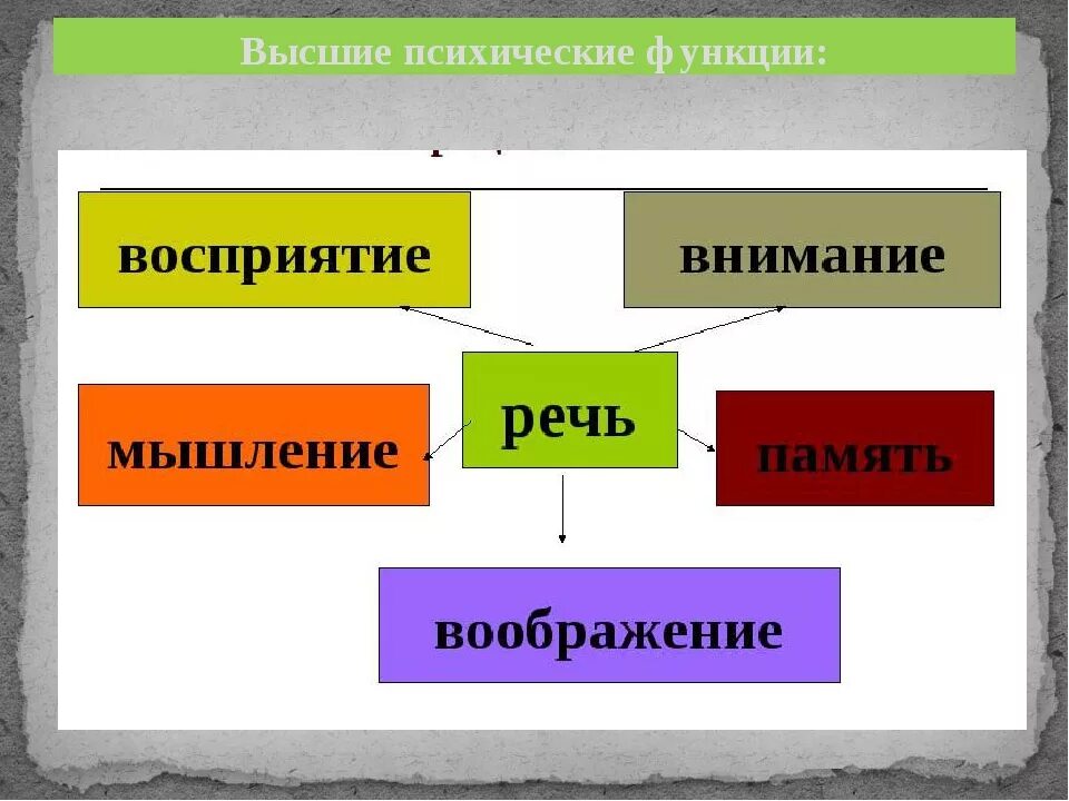 Высшие психические функции. Вышепсихиеские функции. Психические функции человека. Высшие психические функции это в психологии.