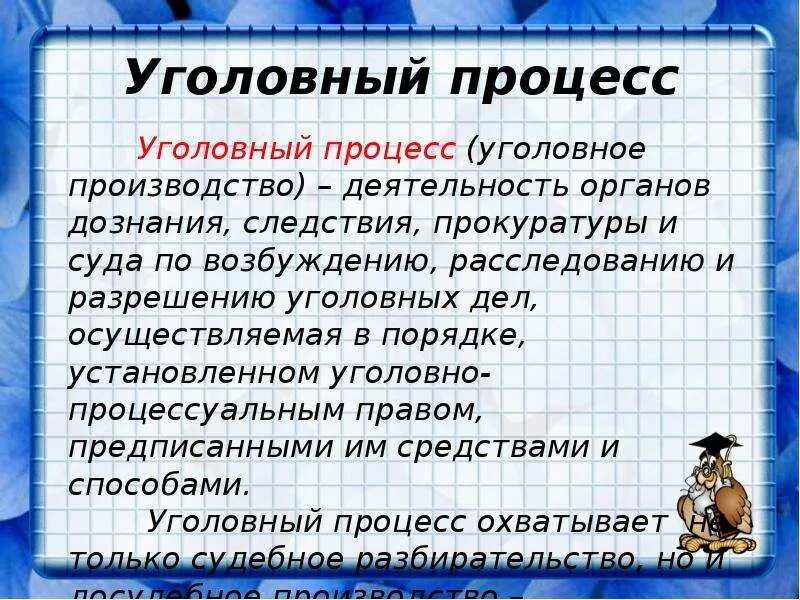 Особенности уголовного процесса план. Особенности уголовного процесса. Особенности уголовного судопроизводства. Уголовный процесс Обществознание. Уголовный процесс определение.