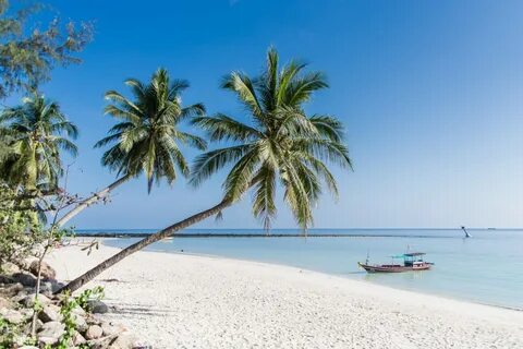 Beach koh